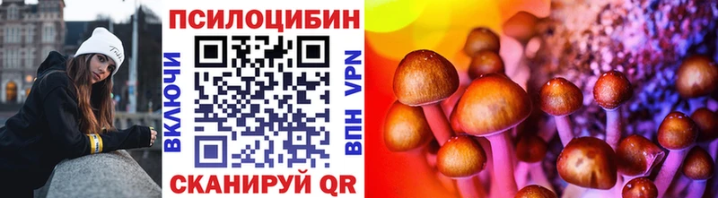 Купить закладки  Северо-Курильск  Псилоцибиновые грибы Magic Shrooms 